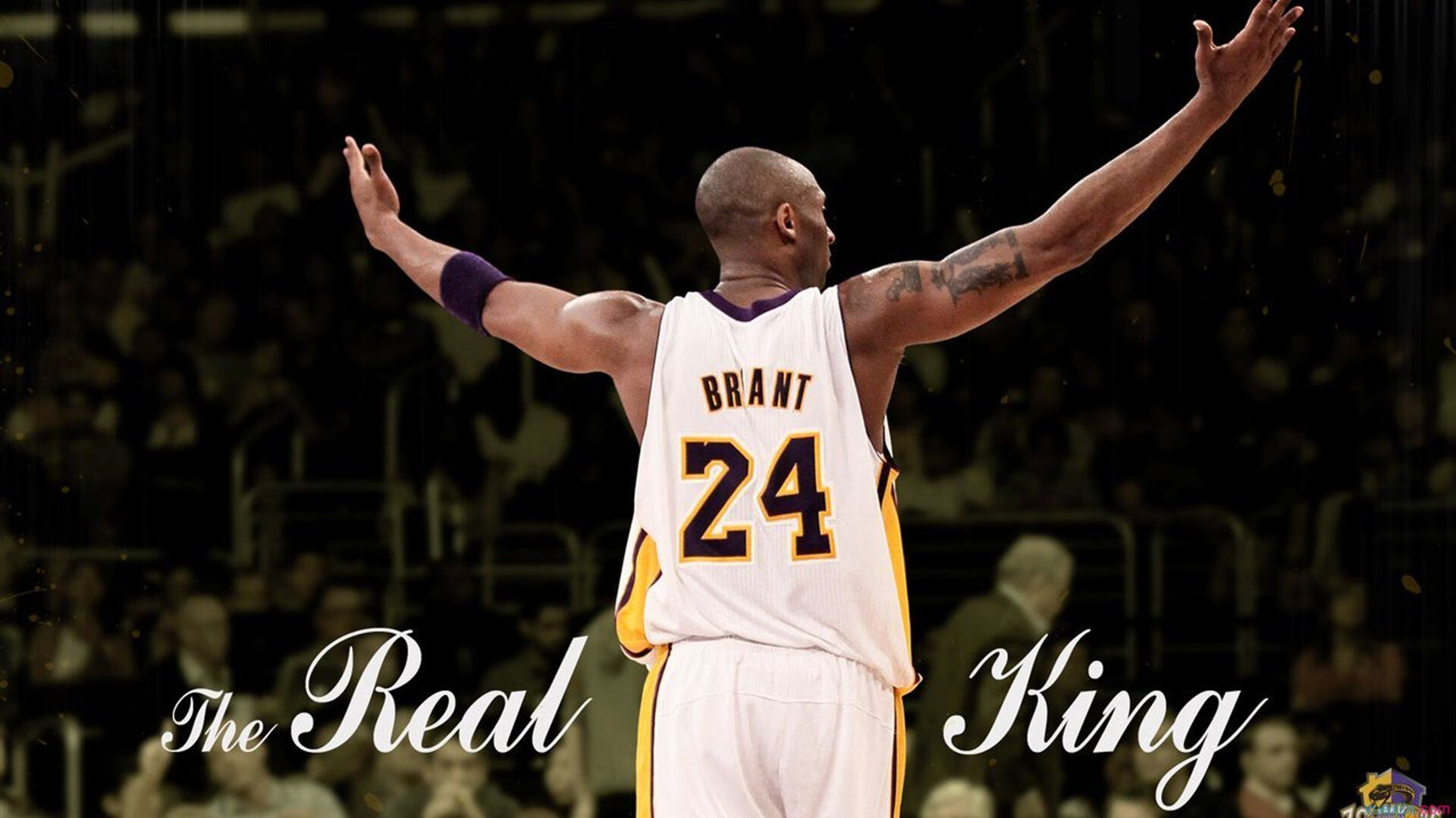 美洲杯风云变幻：逆袭、绝杀、奇迹不断上演，美洲杯经典