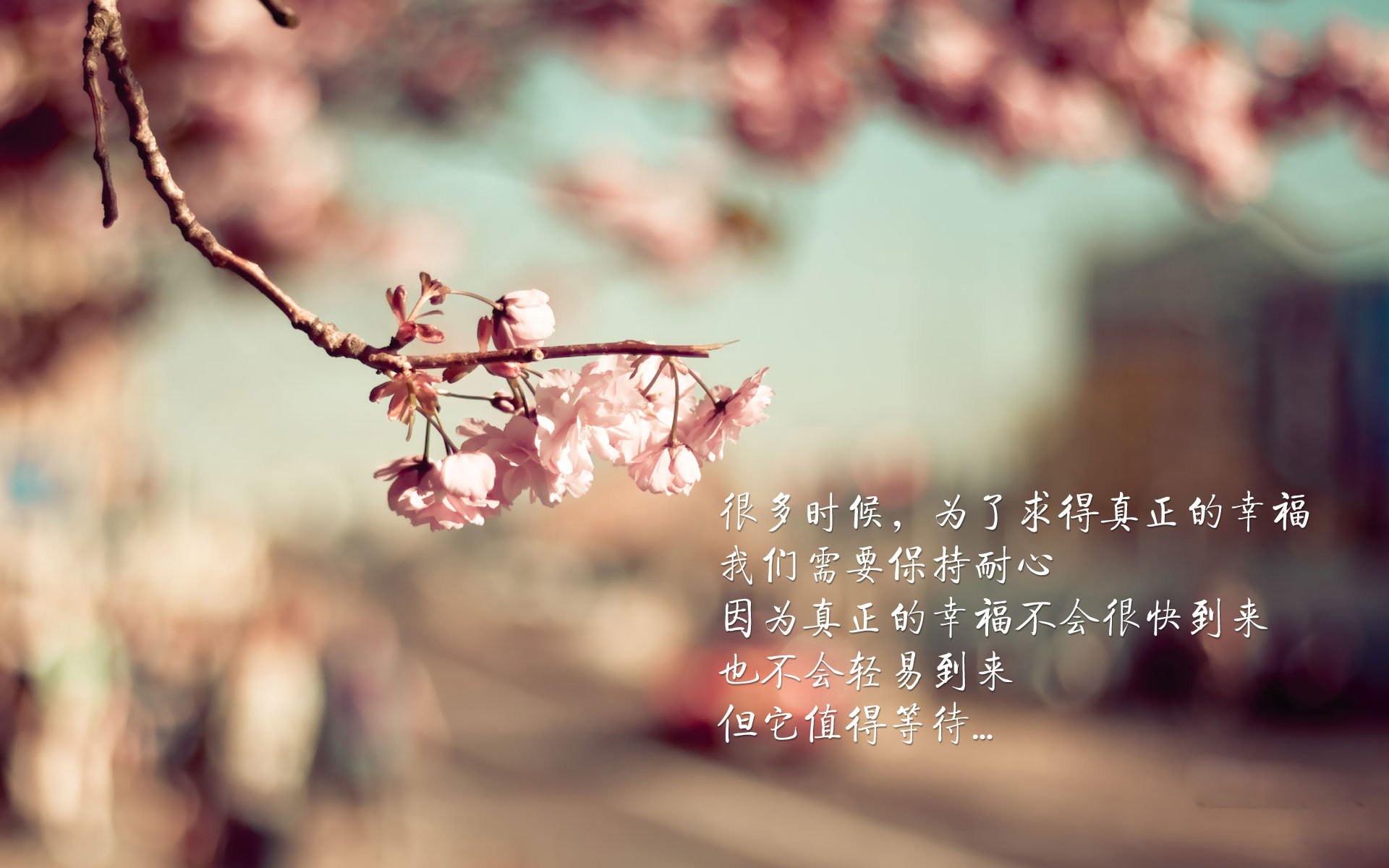 “明星投手再创奇迹，完美无失分助力球队升至榜首”
