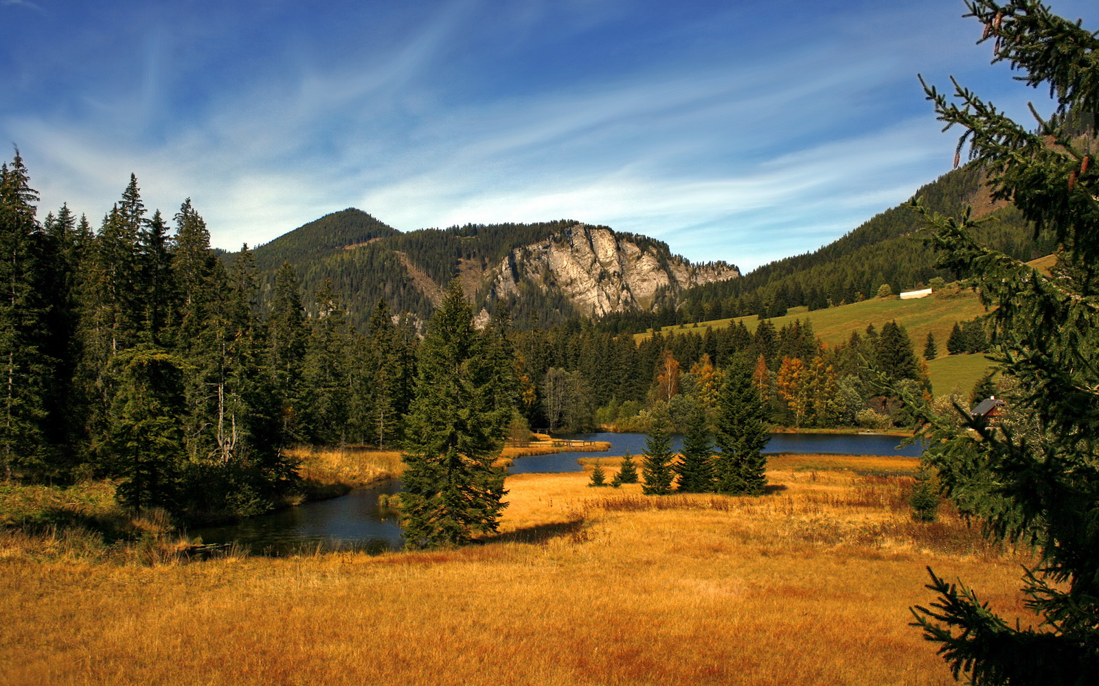 AYX GAMING-政策引导下青训投入持续增长，助推中国足球崛起，中国足球青训改革